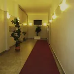 Star Albergue *