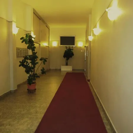 Star Hostal *